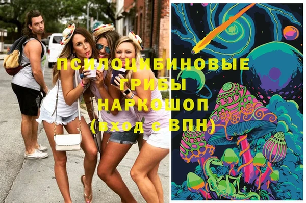 ПСИЛОЦИБИНОВЫЕ ГРИБЫ Заволжск