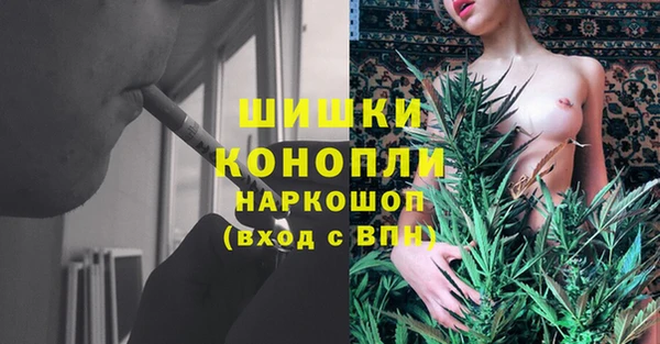 дживик Заволжье