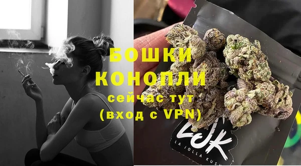крисы Заводоуковск