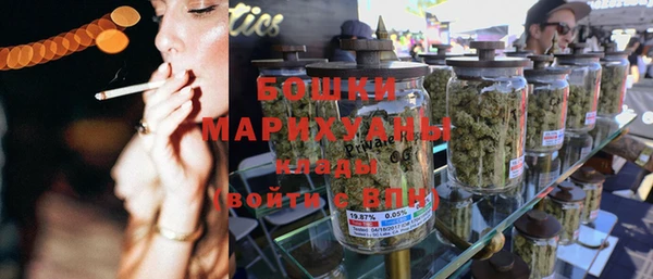 ПСИЛОЦИБИНОВЫЕ ГРИБЫ Заволжск