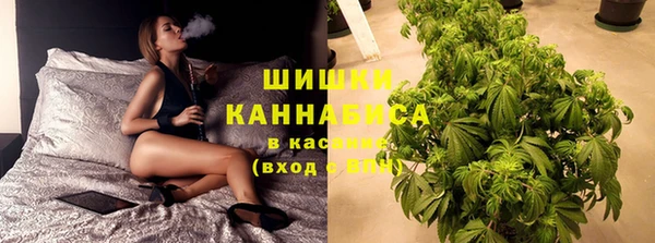 ПСИЛОЦИБИНОВЫЕ ГРИБЫ Заволжск